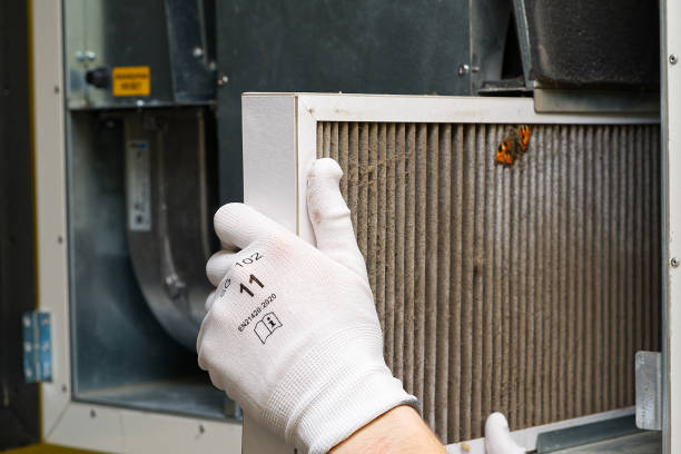 Best Home Air Vent Cleaning  in Jackson, LA