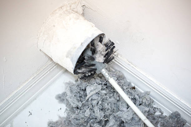 Best Professional Duct Cleaning Services  in Jackson, LA
